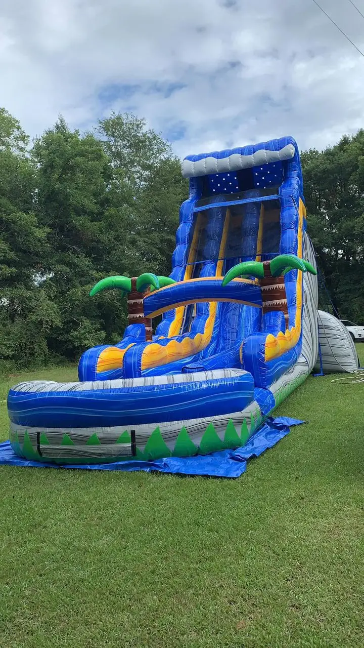 IMG_2169 π΄ππ¦ Tropical Giant Tides