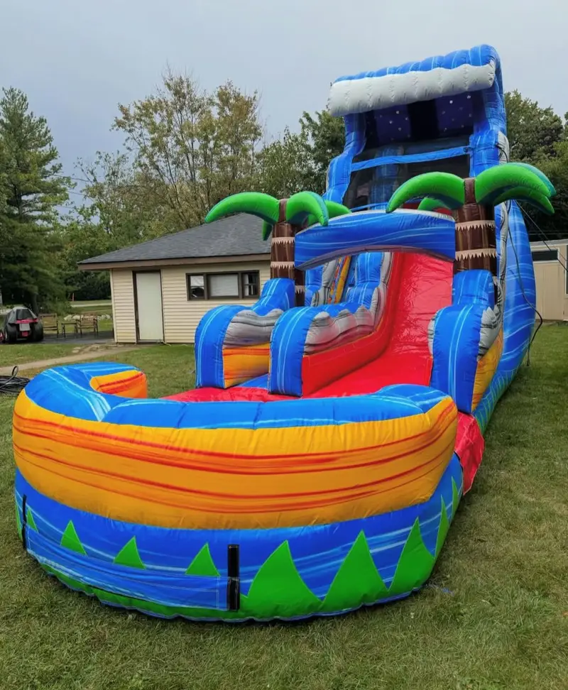 IMG_2180 Cloud Palm trees slide