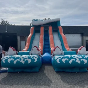 King Surf Double Slide