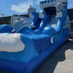 Dolphine Wave slide