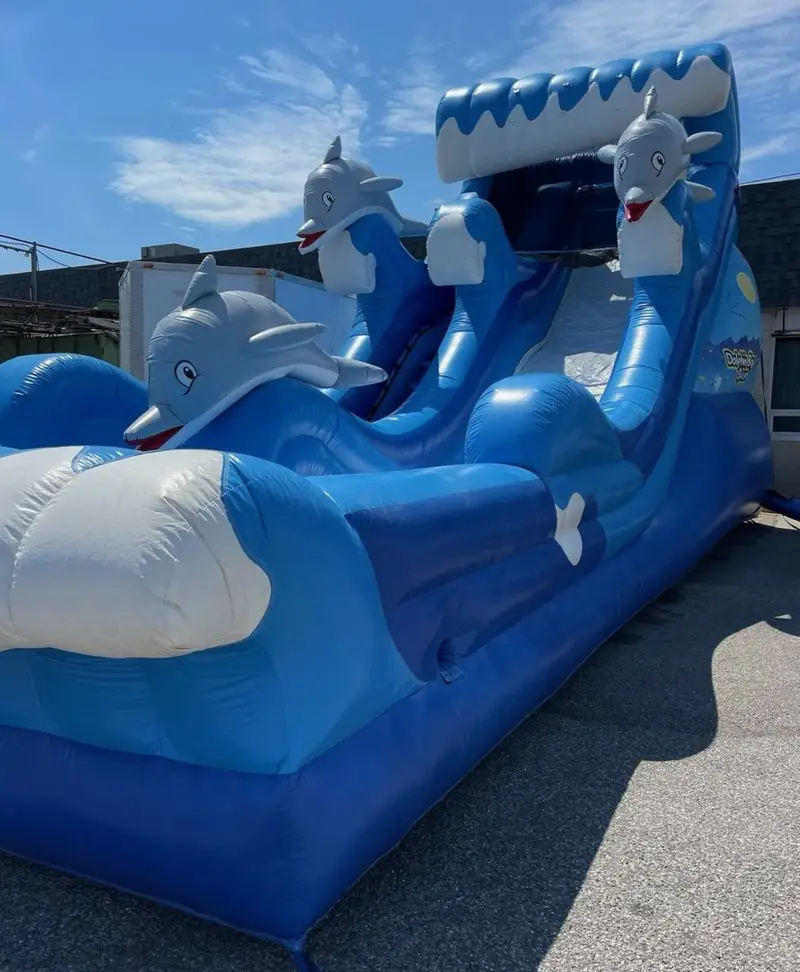 IMG_2185 Dolphine Wave slide