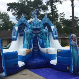 Frozen Beach Double Lane Waterslide