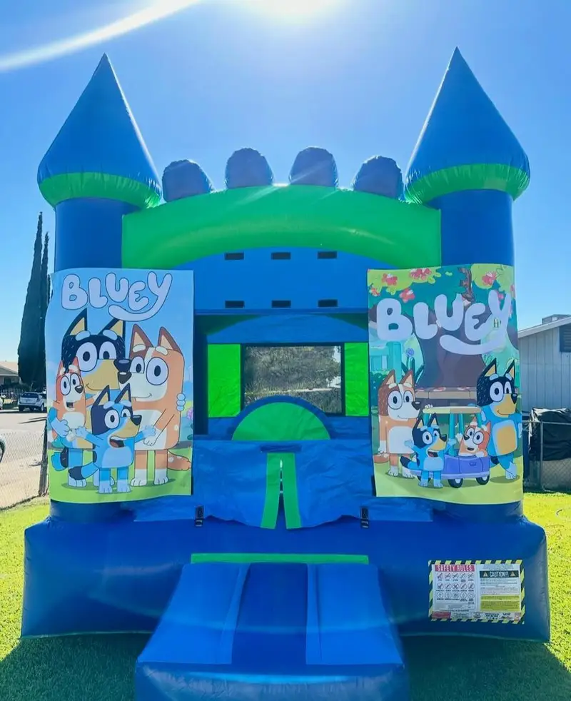 IMG_2195 🏰 Sky Castle Bounce House