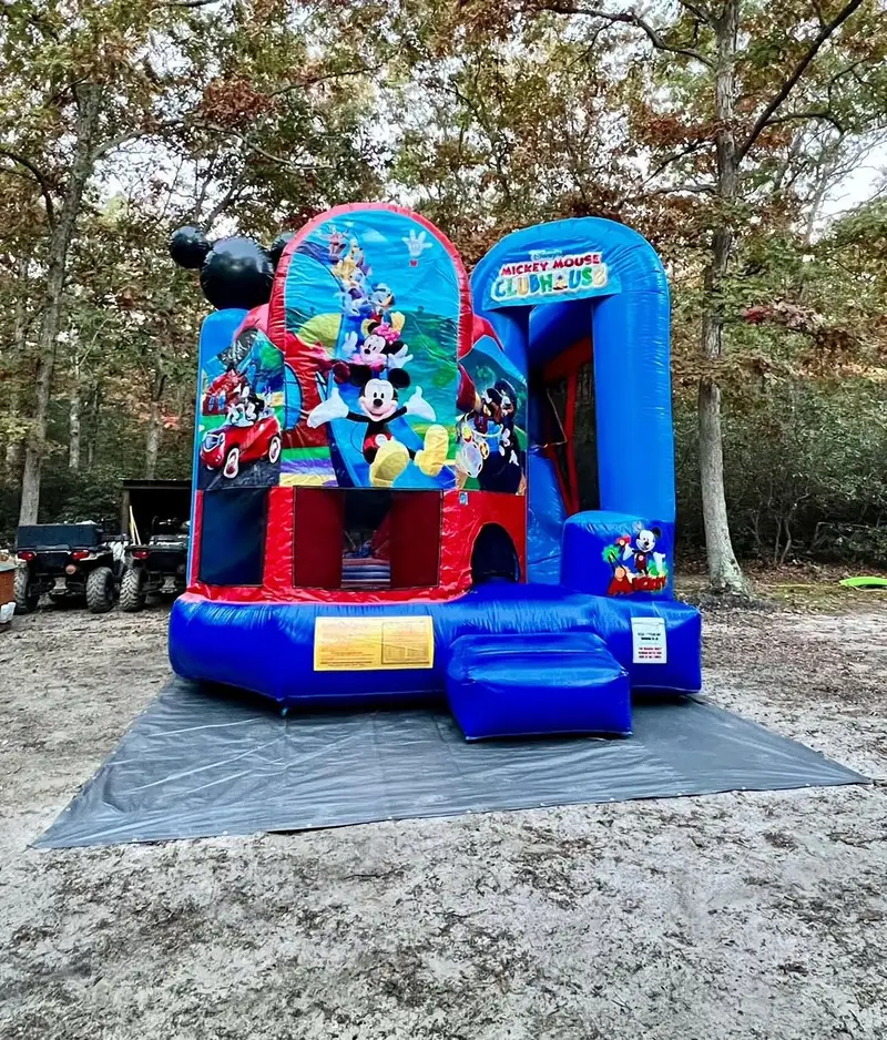 IMG_2214 Trademark Mickey Mouse Combo C4