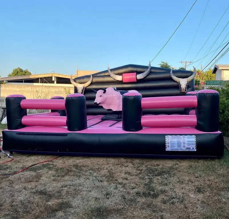IMG_2219 ππ Pink Rodeo Mechanical Bull