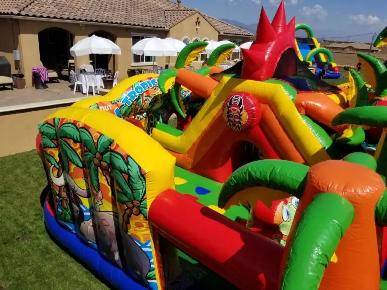 IMG_2235 Jungle Animal Tropical Maze - Image 2