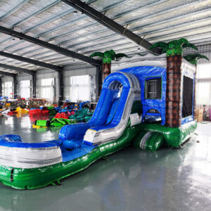 aqua palms 4 1 wet/dry combo