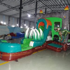 dino dive 4 in 1 wet/dry combo